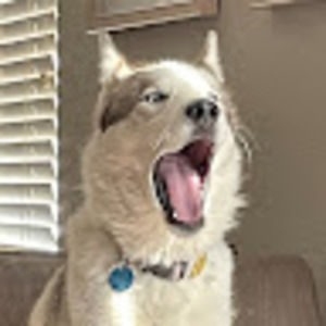 Meet your Posher, Paloma